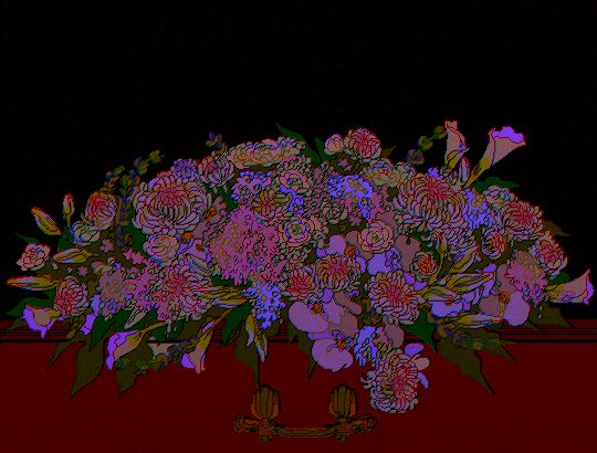 29 night white flowers