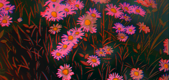 34 meadow in the evening