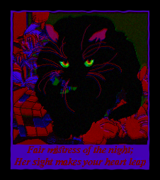 16 mistress of the night sasi