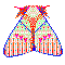 07 pale pixel moth
