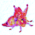 21 dancing pink moth